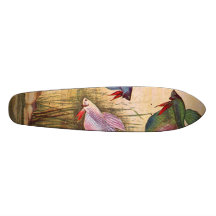 skateboard - aquarium fish-Various Coloured Bettas