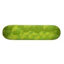 Skateboard - Kiwi