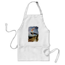 Skateboarding the Wall Aprons