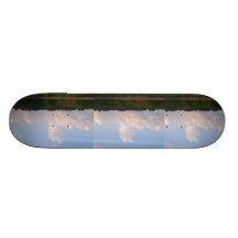 Skateboards made with photography 21