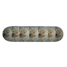 Skateboards made with photography 26