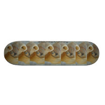 Skateboards made with photography 27
