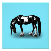 Skater Horse Art Photo