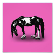 Skater Horse Photo