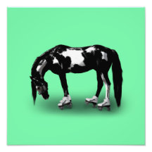 Skater Horse Photograph
