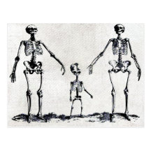 Skeleton Family Postcard