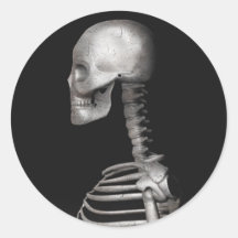 Skeleton - Halloween Stickers