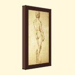 Sketch of Michelangelo's David Statue by Raphael canvas prints
