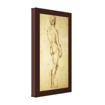 Sketch of Michelangelo's David Statue by Raphael Canvas Prints
