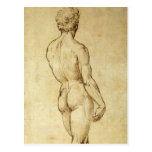 Sketch of Michelangelo's David Statue by Raphael Postcard