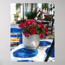 Skiathos town pots 1 poster
