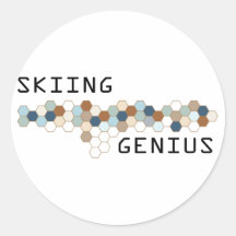 Skiing Genius Stickers