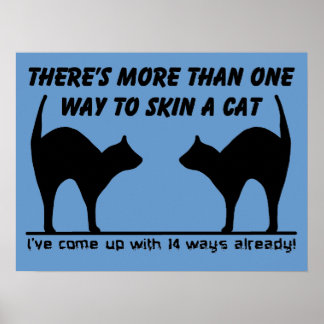 skin_a_cat_funny_poster_print_sign_humor-r32499dfcef8d44cc84fbcbf0d8e57fef_ijf_8byvr_324.jpg