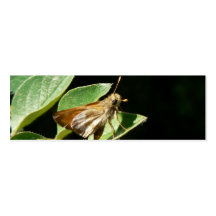 Skipper Butterfly Bookmark Business Cards