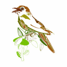 Skorro Sparrow Photo Cutouts