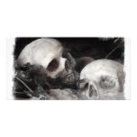 Skull Buddies Photo Cards
