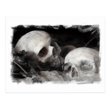 Skull Buddies Post Cards