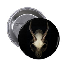 skull button