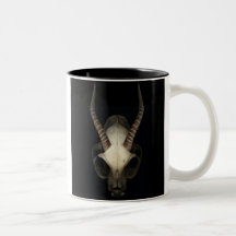 skull coffee mug