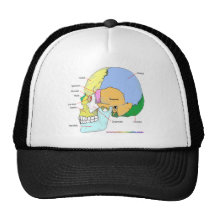 Skull (lateral) trucker hats