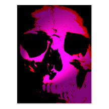 Skull Postcard