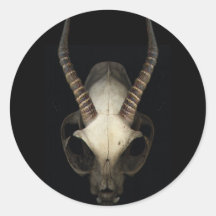 skull sticker