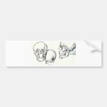 skulls bumper stickers