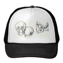 skulls mesh hats