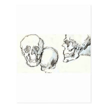 skulls post card