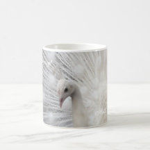 Skully Top Fun Mugs