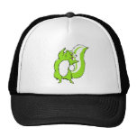 Skunk Hat