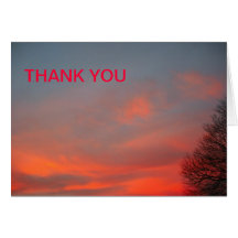 SKY AFLAME - THANK YOU CARD