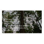 Sky through Redwood Grove Business Card Templates