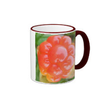 SLAMMIN SALMON BERRY COFFEE MUG