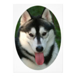 Sled Dog Invitation