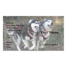 sleddog business card