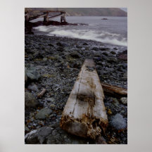 Sleeper By the Sea Print