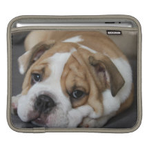 Sleeping Bulldog iPad Sleeve