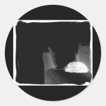 Sleeping Cat On Sofa - B&W Negative Round Stickers