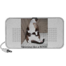 Sleeping like a Boss! Travelling Speakers