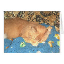 Sleeping Odie Greeting Card
