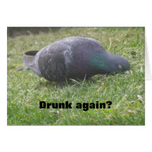 Sleeping Pigeon Funny Custom Birthday Card
