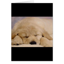 Sleeping Puppy Card