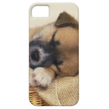 Sleeping Puppy iPhone 5 Cases