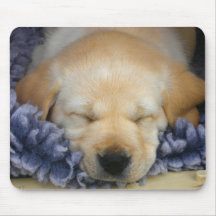Sleeping Puppy Mousepad