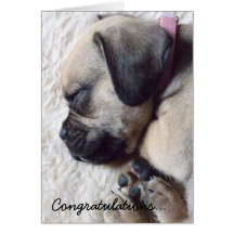 Sleeping Puppy New Puppy Greeting Card