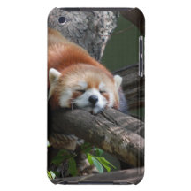 Sleeping Red Panda iTouch Case Case-Mate iPod Touch Case