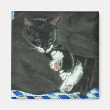 Sleeping Tuxedo Cat Magnet