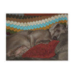 Sleeping Weimaraner Blank Card