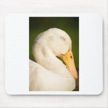 Sleeping White Ducd Mousepads